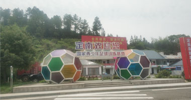 东升国际pg
POM板